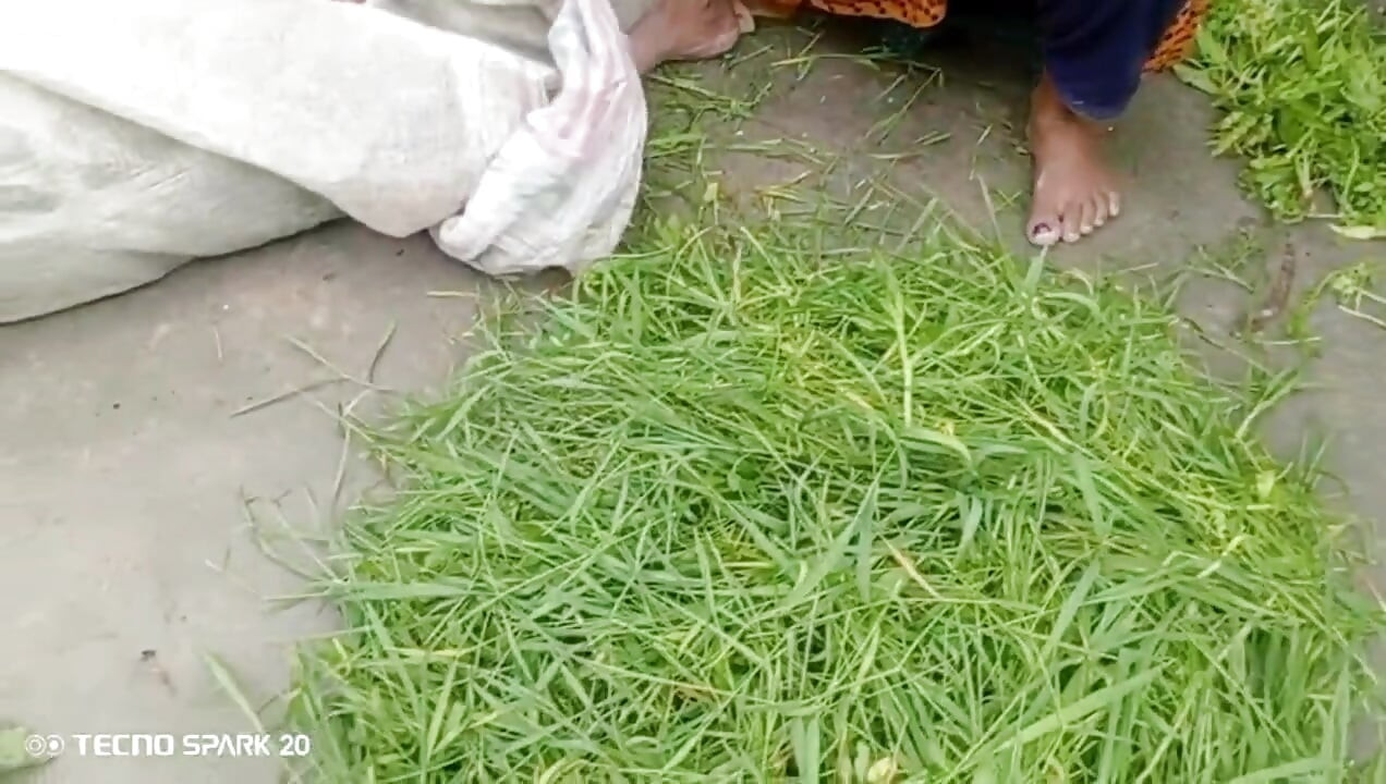 Secret Affair with My Sister-in-Law in the Backyard