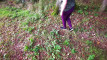 Pratinjau video