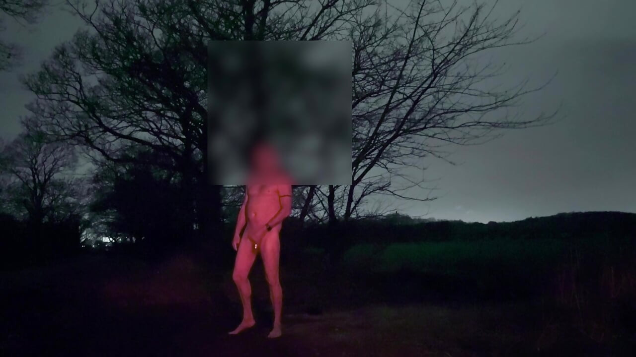 公の場で裸でオナニーするペニス