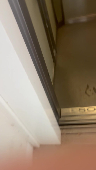 I quickly dildo myself in my elevator