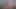 Three hairy bears cruising in the woods (Teaser)