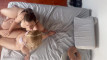 Pregled videozapisa