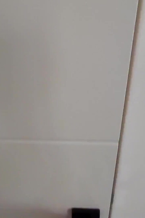 The Ex Came to Pick up Things, but Left with a Torn Ass!