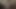 Eifrig, Gehirn zu geben