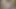 Bir sonraki videom için dört renkten birini seçin