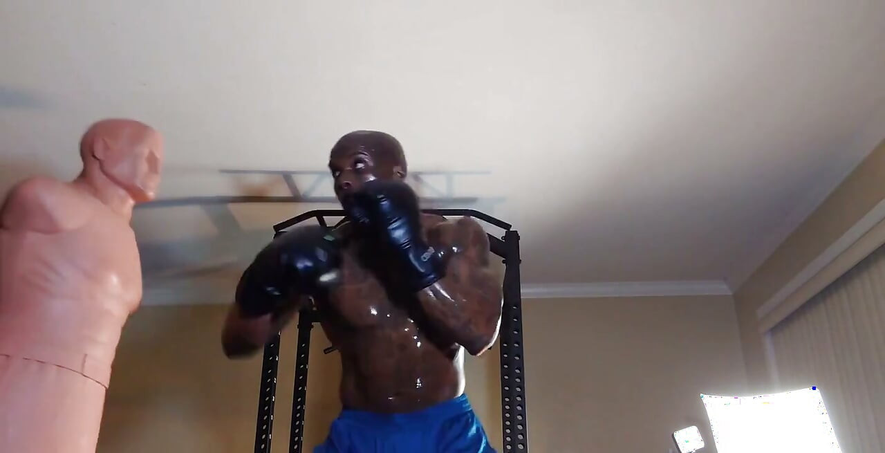 Boxing Workout Integrated Training Combines Flexibility, Cardiorespiratory, Core, Balance, Plyometric