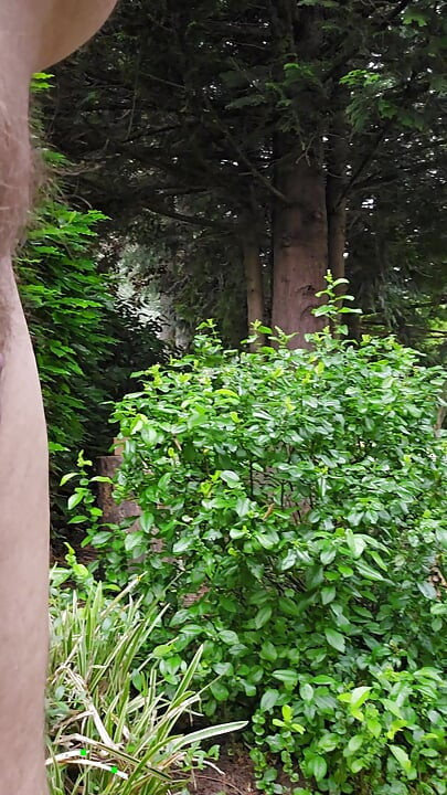 Schnelles drehen um den garten