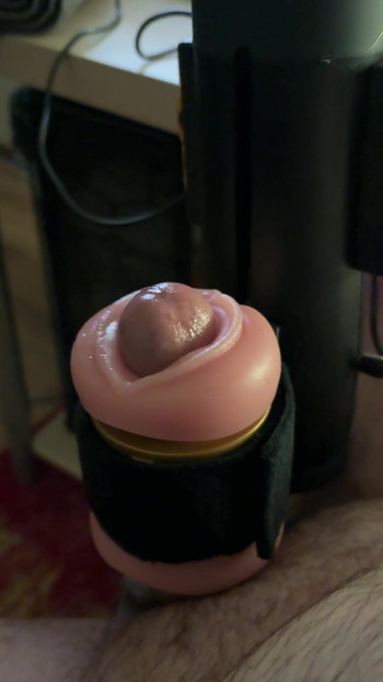 新しいおもちゃ