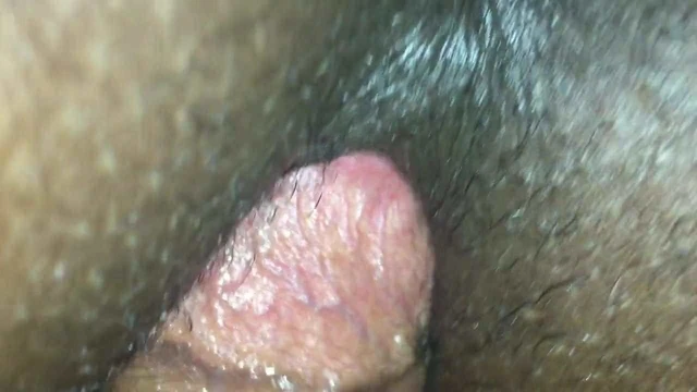 Doggy style 2