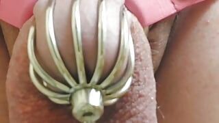 Pissing through the Chastity Cage with 3 inch Urethral Sound Rod
