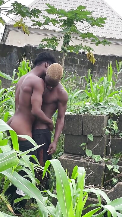 Si Dia Berada Di Ladang Untuk Mengongkek Saya Dengan Begitu Baik