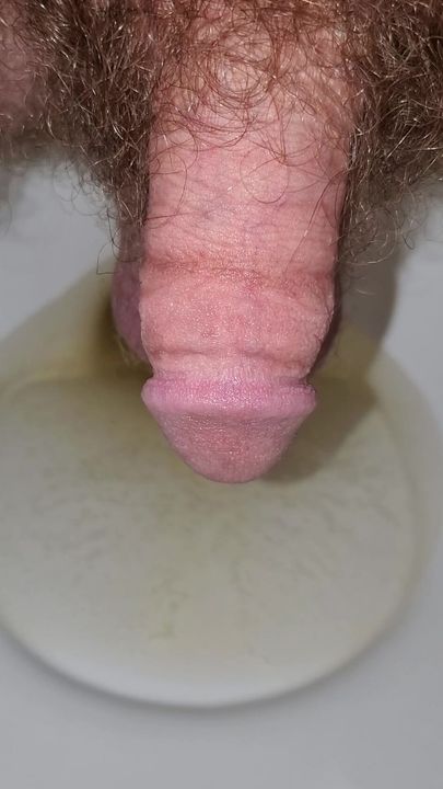 Closeup of My Cock Peeing Into the Toilet Bowl