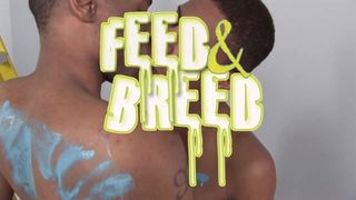 Feed and Breed Volume #1
