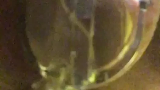 Pipi cage de chastete