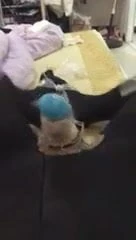 自己喜欢的玩法