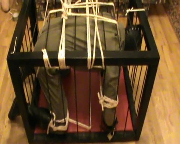 Restrained to a cage - 2