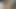 つま先をしゃぶる