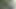 Fucking in the woods