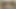 Nurumassage, hanımımın kuzeniyle duş alıyor