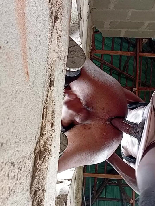 Big dick stroking the wet ass