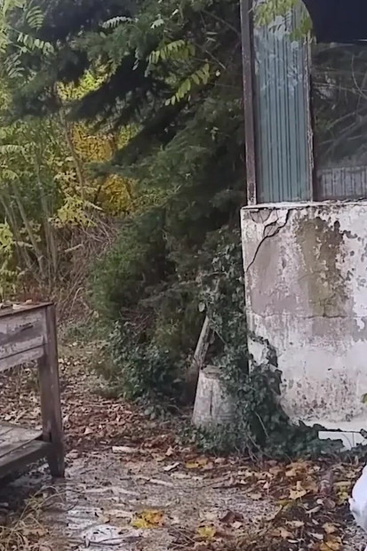 Petite Gina Gerson outdoor fucking session in a rainy day