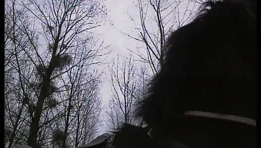 Cewek menggoda dengan stoking renda lagi asik nyepong kontol dengan ganas