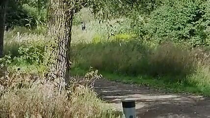 Kurzer Schneller Outdoor Creampie