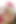 胸の大きいブロンドがクリスマスにチンコをもらった