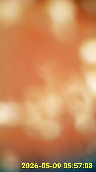 Close up of buttplug & HD Endoscope insertion