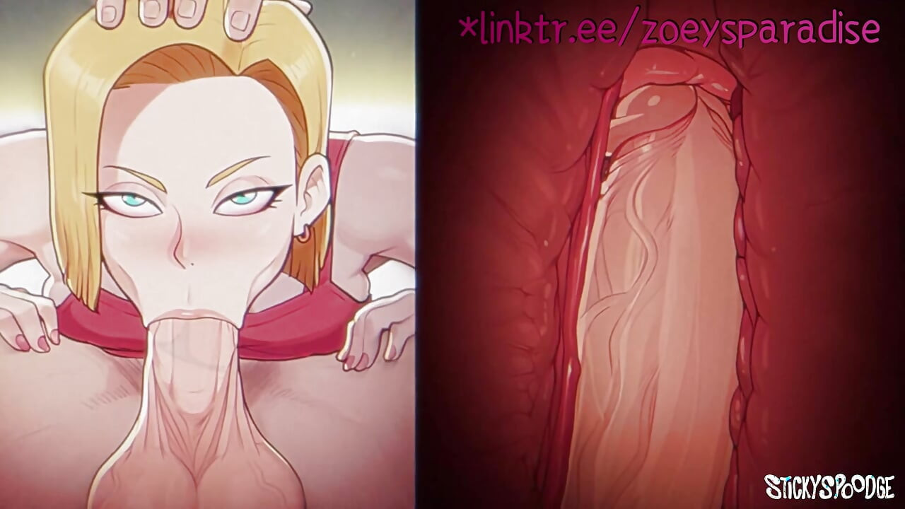 Android 18 vous accueille à la maison