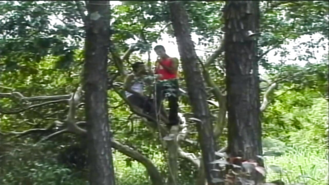 Futai bi și lovin it