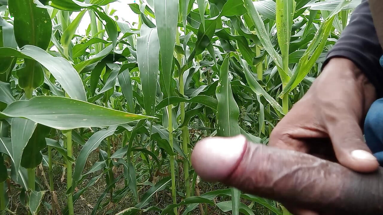 Makka ke khet me oil se malish apne lambe land ki