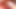 Futa Sexual Session - 1