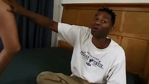 Film dari takdir chica boom