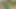 Legendary Big Titty MILFs & Cougars Compilation - MYLF