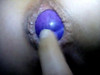 Pregled videozapisa