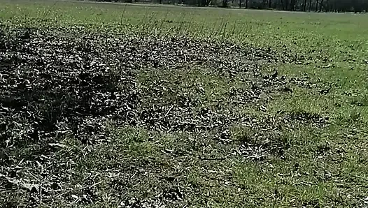 Hot wet games, German amateur milf, with piglets in nature