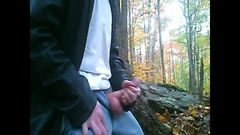 Autumn jerk in the woods