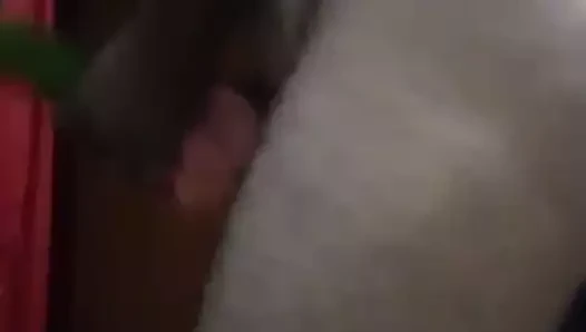 eklenmiş sebze