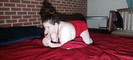 Pregled videozapisa