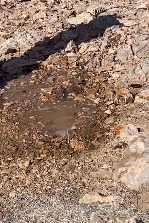 Outdoor pee hiking compilation