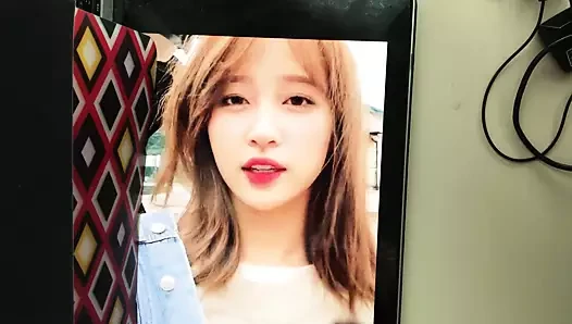 Hani