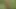 Fucked My Friend in the Forest