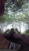 Pregled videozapisa