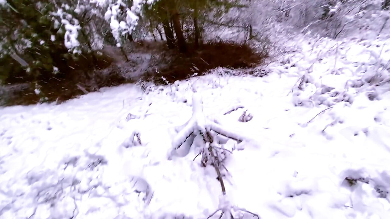 We Were Seen in the Forest as I Suck a Dick, I Had to Cum at Home