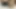 Trans Women Fucking Close Up