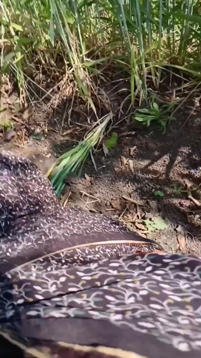 Real Outdoor Sex With Beautiful Girl | Clip 2