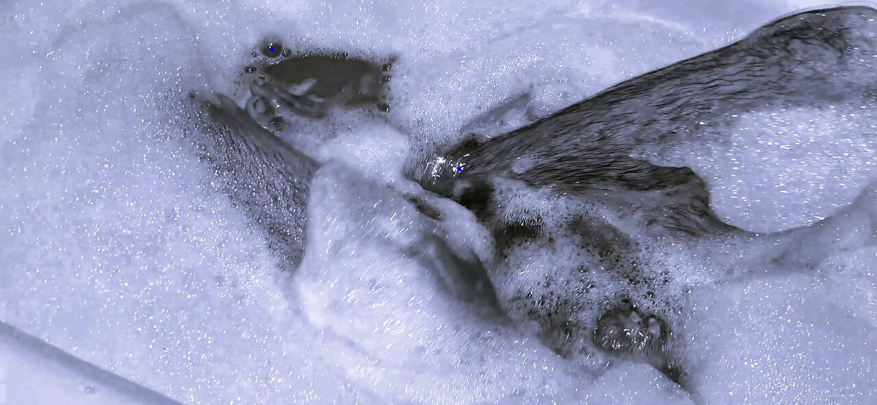 小柄な美しい女王様シシーは、彼女の肛門を洗うことでパパとの熱い性交の準備をします。