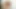 Hot Horny Thick Latina Study Buddy Wanted My Cock Badly - Loree Love Johnny Love