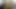 İki çıplak kız ve meme ucu çıkartmaları. çek meme porno